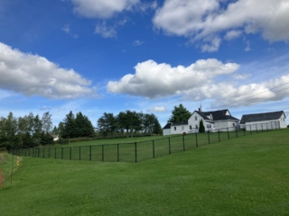 frontyard